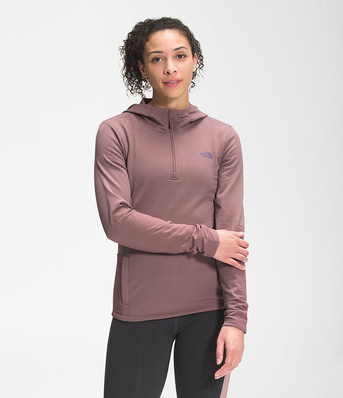 The North Face Womens Pullover Wayroute Hoodie 895YZQLDP - Light Purple